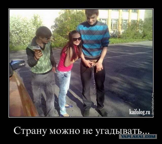 Смешные картинки из инета