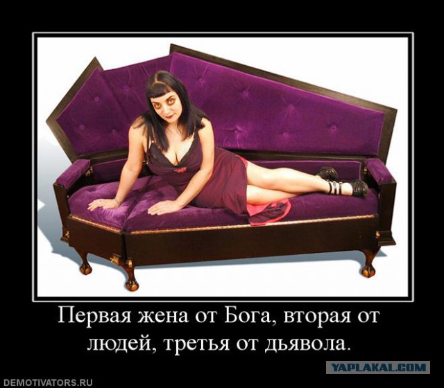 первая жена от бога вторая от. третья жена от дьявола. вторая жена ему попалась настолько ревнивая что. первая жена от бога поговорка. первая жена от бога поговорка.