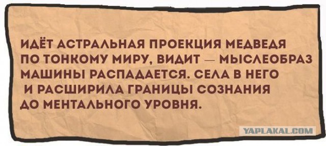 Смешные картинки с подписями 2