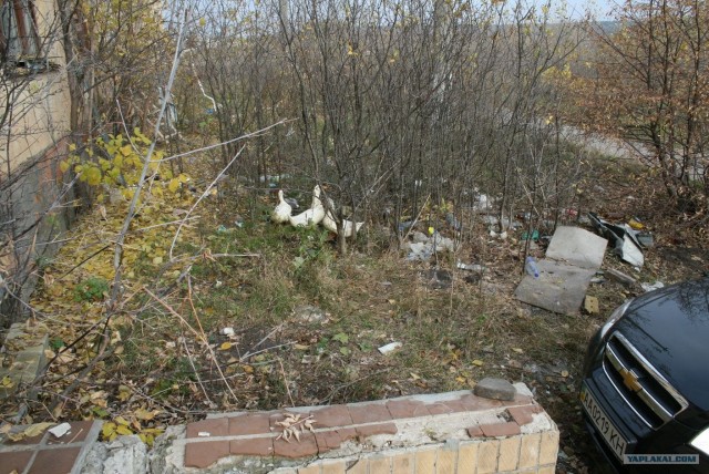 Заброшенная танковая база.