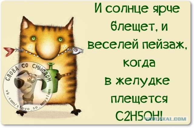 Веселые жизненные наблюдения из Вредного журнала