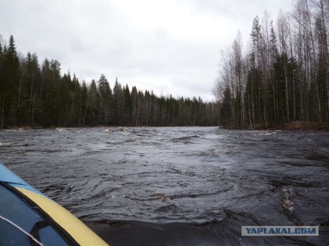 Поход: Карелия, река Шуя, женщина, байдарка.
