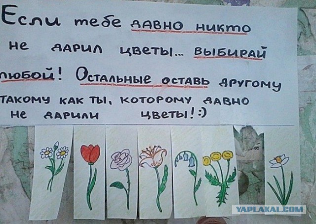 Кубы на среду