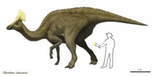 Динозавры России