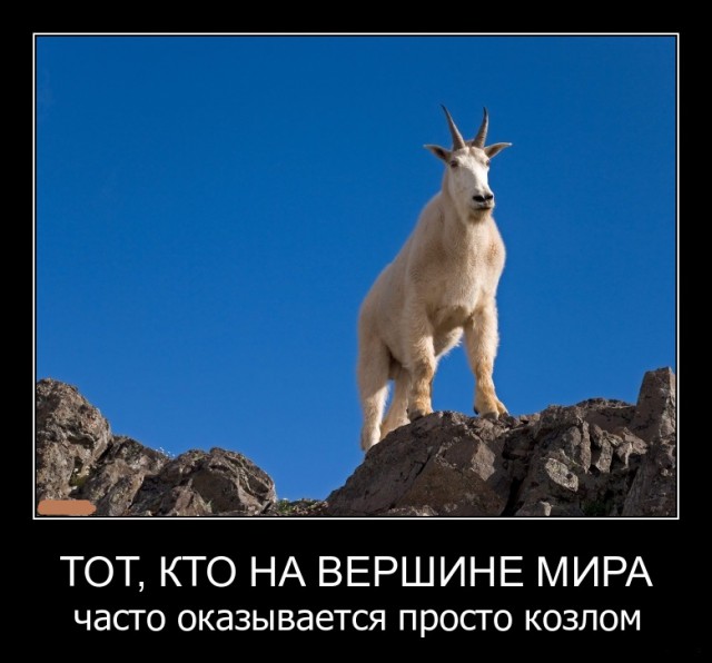 Картинки на пятницу