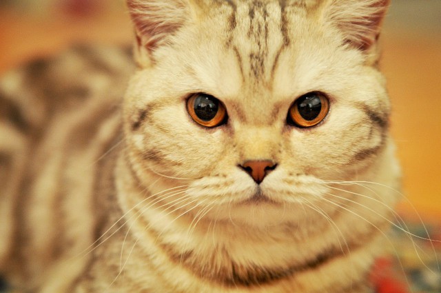 Подборка интересных и веселых фото