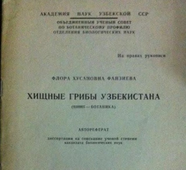 Продам сушёные грибы