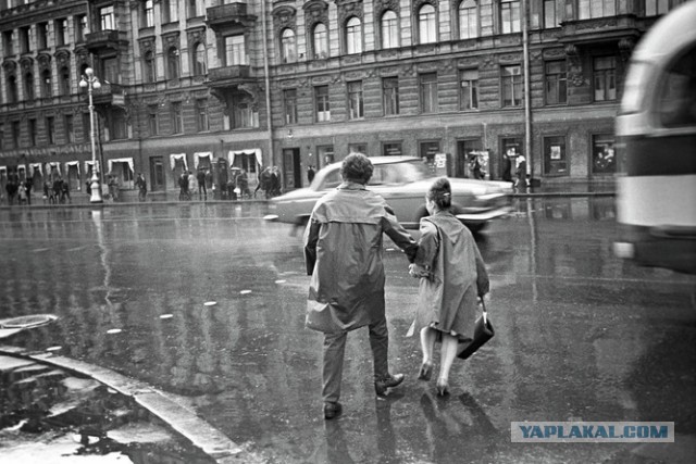 Не все ещё рассказаны слова ©Кривда