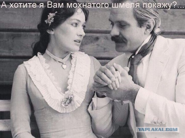 Хочешь болт покажу?