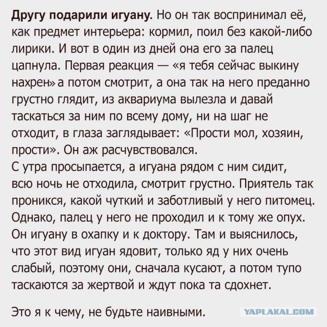 Всяко-разно в последний день лета.