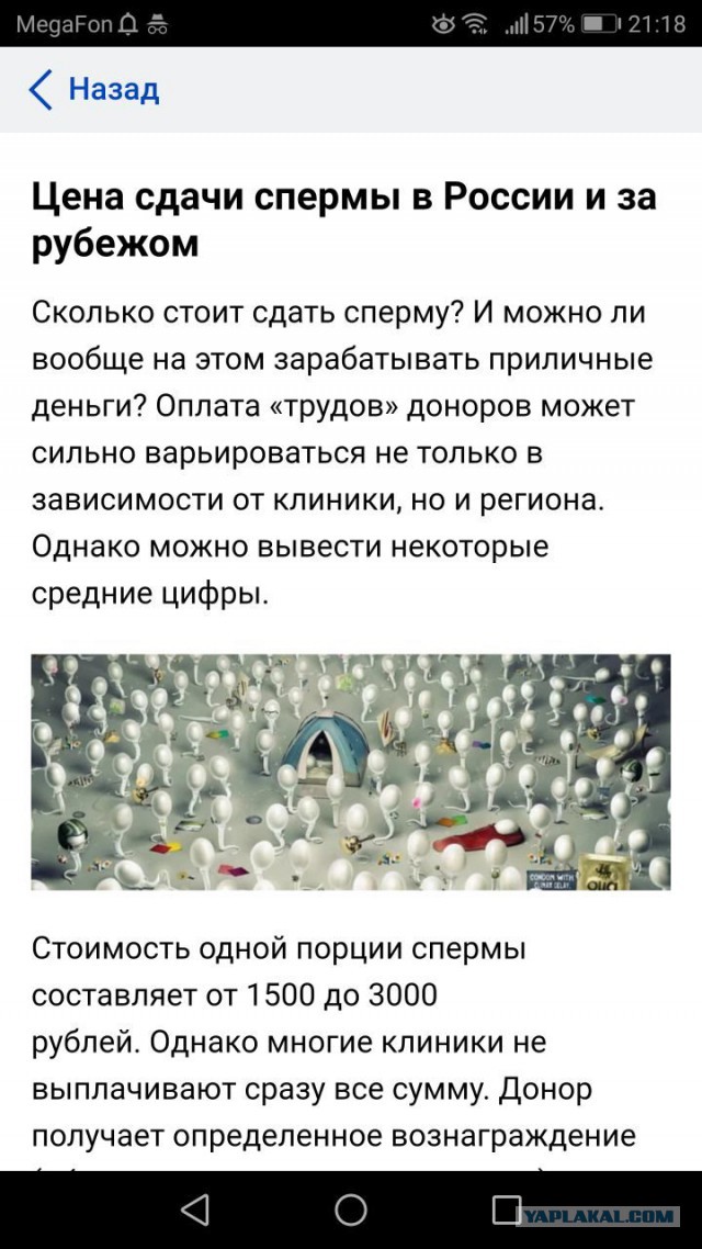 Минтруд накапливает сведения из разных источников о самозанятых