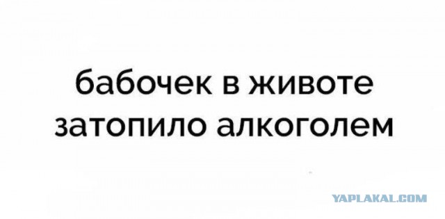 Немного картинок в этот вторник