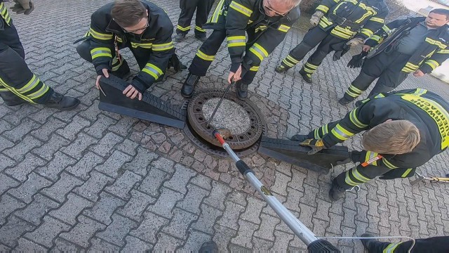 В Германии бригада пожарных спасла толстую крысу, застрявшую в канализационном люке