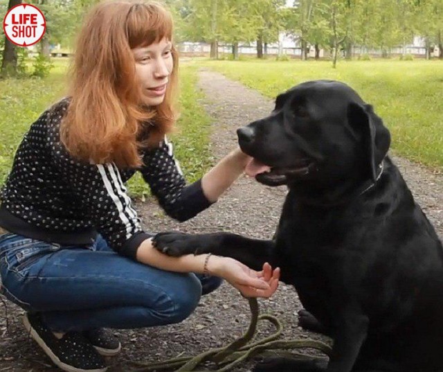 Слепую выгнали из автобуса в Уфе из-за собаки-поводыря