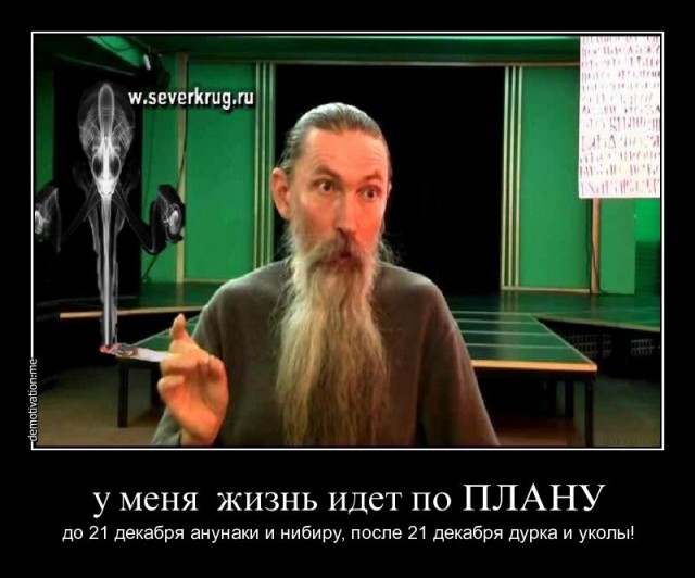 Адвокат рассказал о версии влияния полнолуния на доцента СПбГУ Соколова в момент убийства, в котором его обвиняют