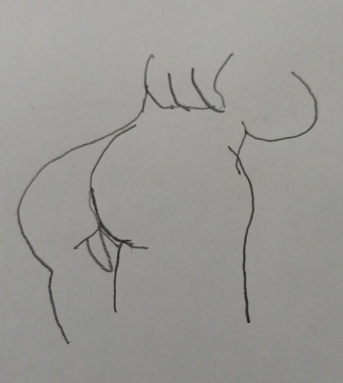 Как нарисовать мышь
