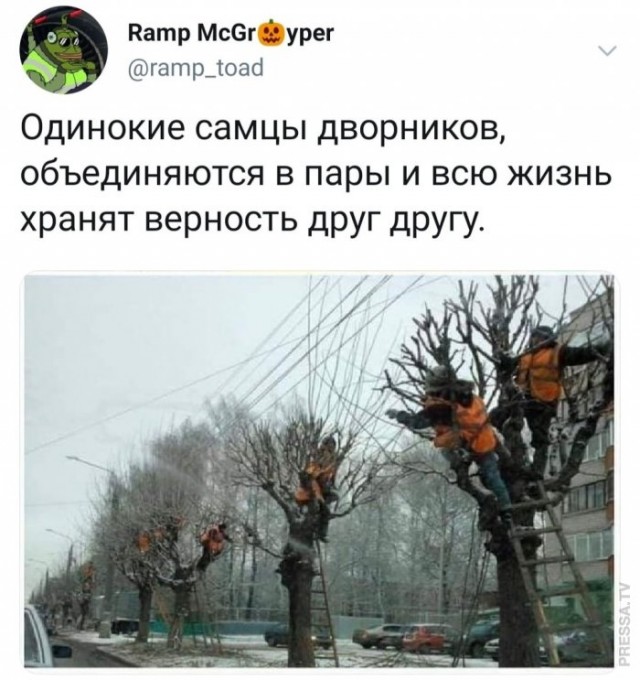 Юмор из соцсетей