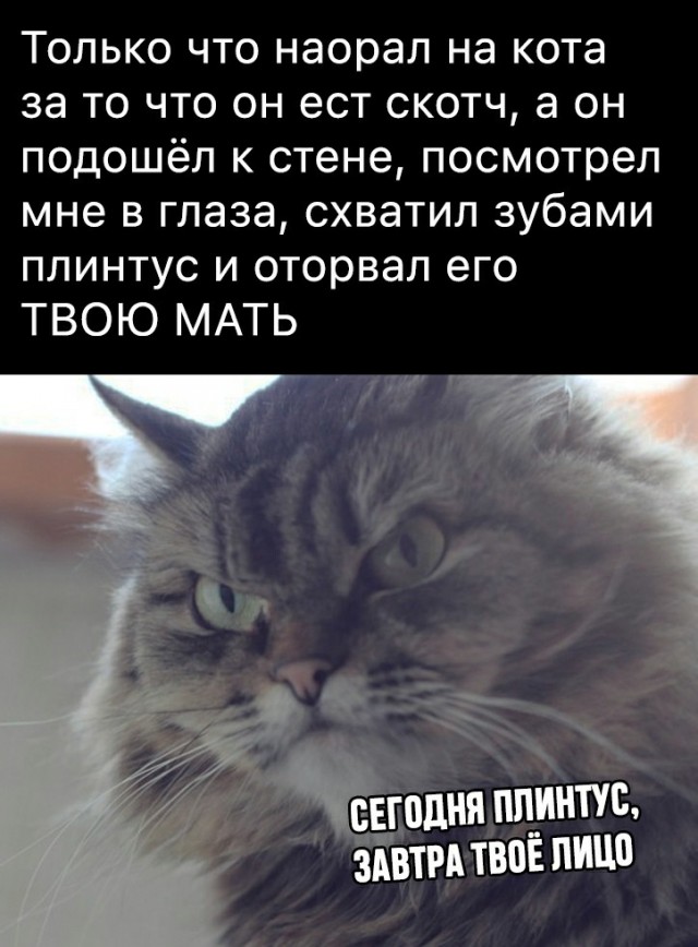 Бредзона 27.03.21