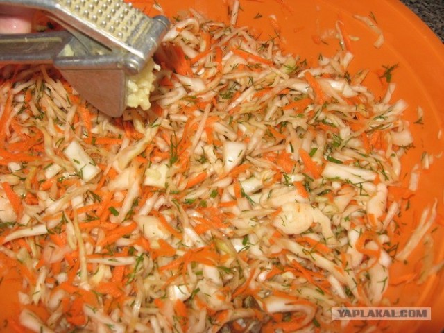 Капуста International, Наступила осень, отцвела капуста...