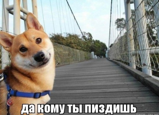 Младший лейтенант полиции Константин Калинин рассказывает о перестрелке с Бекмансуровым