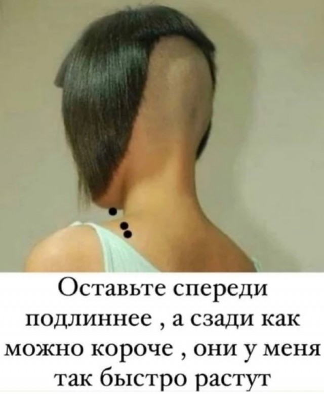 Весёлый полтишок 02.10