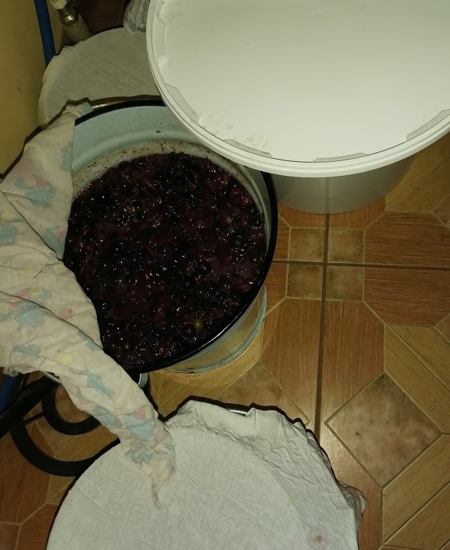 Почти полмиллиона литров виноматериалов изъято в Крыму