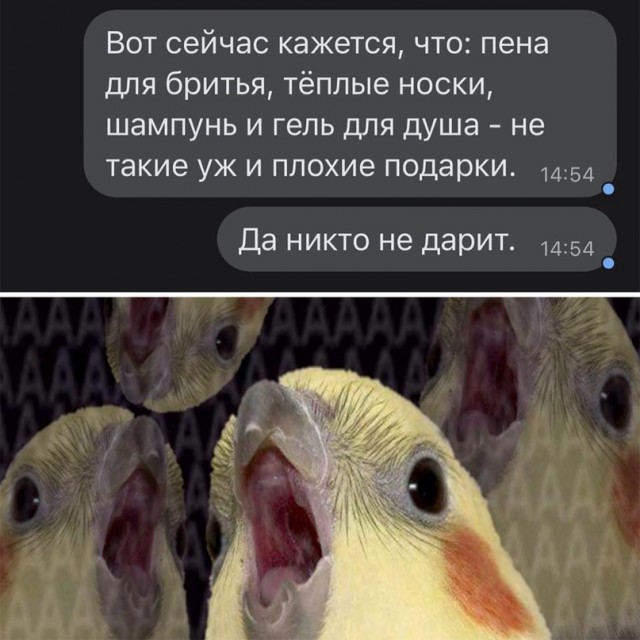 Весёлый полтишок 03.01