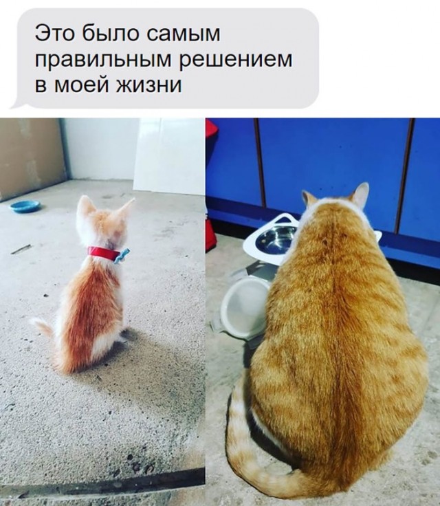 Картинки и мемы для настроения, выходные не за горами