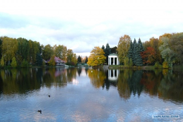 СПб глазами уставшего туриста...