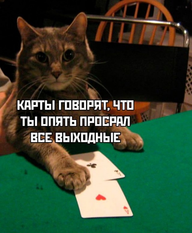 Немного картинок для настроения - 161