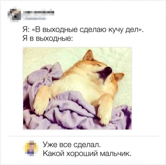 Скриншоты и комментарии из социальных сетей 12.05.23