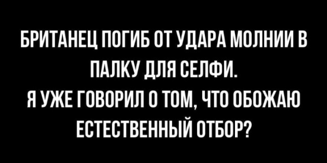 Всего понемногу. От 14.08.23