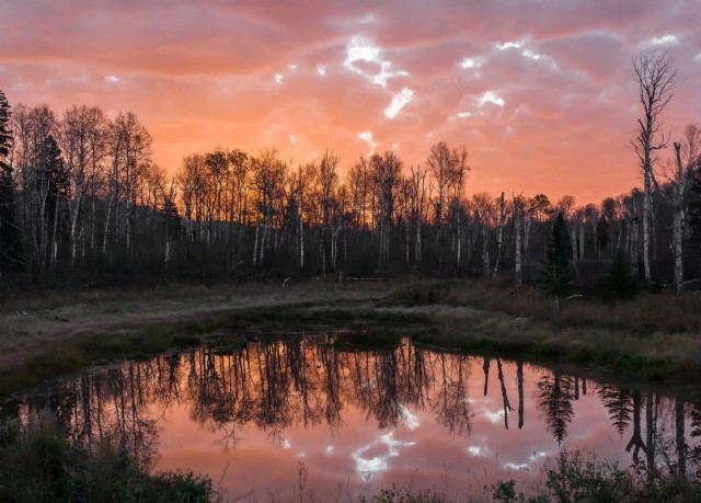 Ведьмины сказки