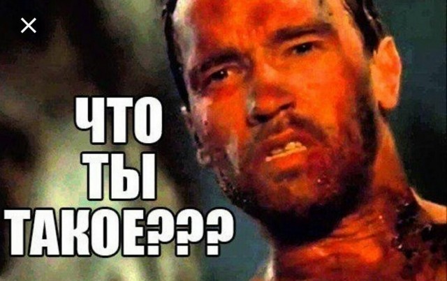 Аппарат!