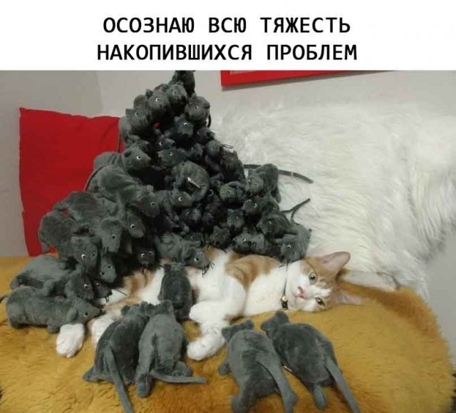 Так себе картинки 13.02.24
