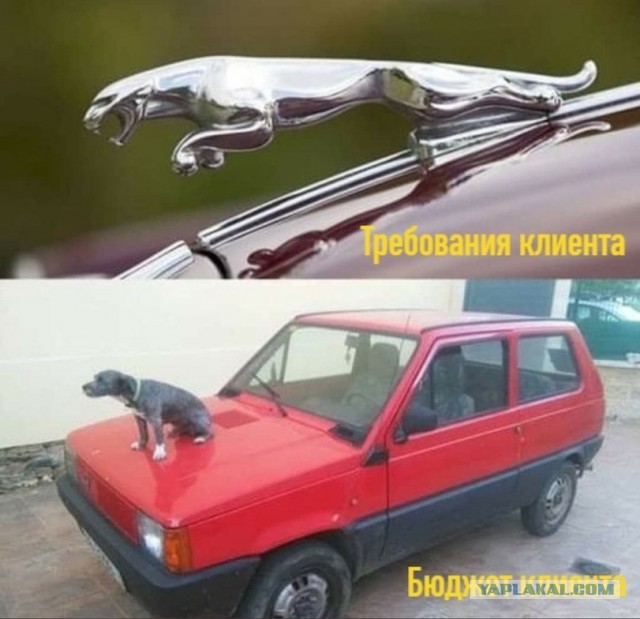 Юморные картинки айтишной (и не только) направленности, стиля "всёпропало"