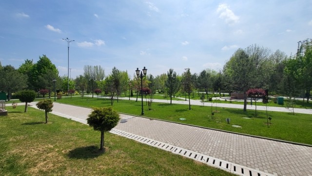 Ташкент, Самарканд, Бухара и домой…