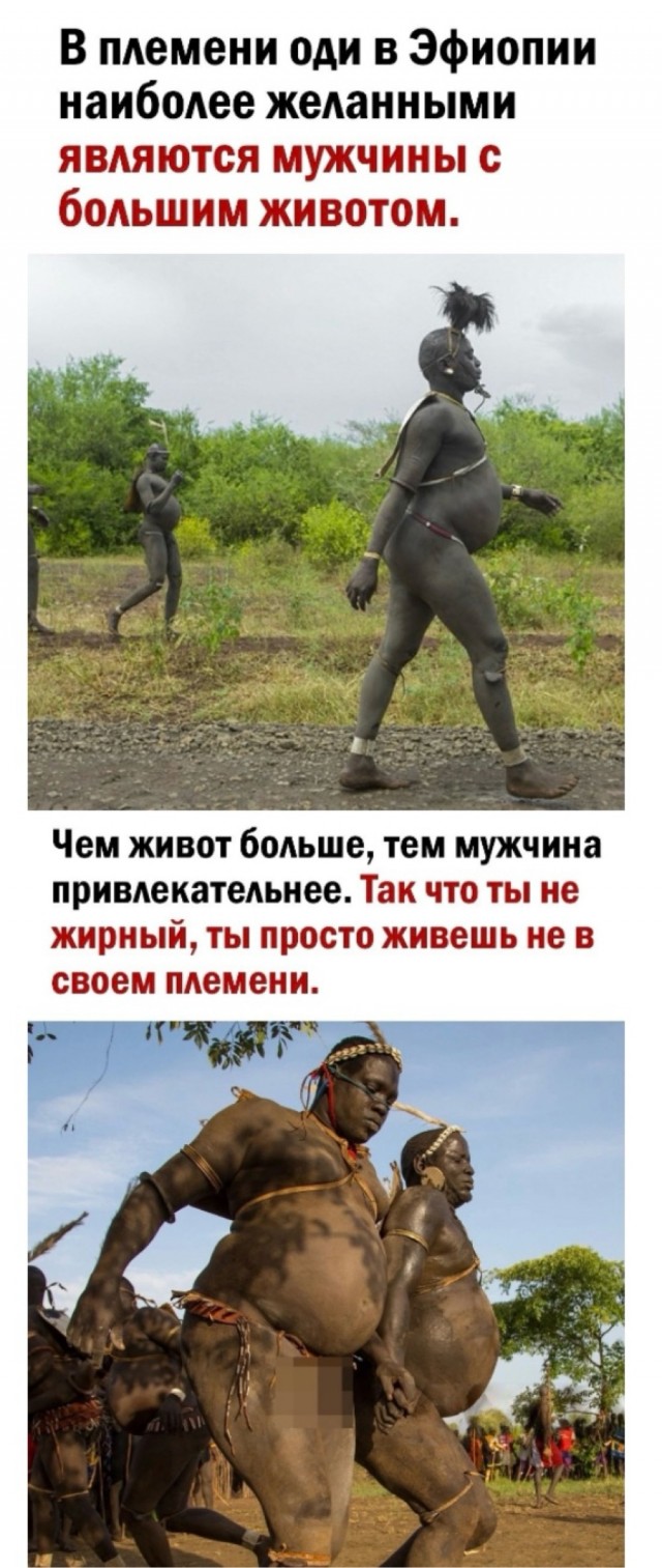 Отряд быстрого деградирования