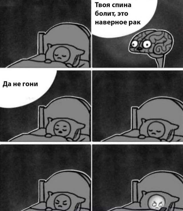 Весёлый полтишок 12.09.24