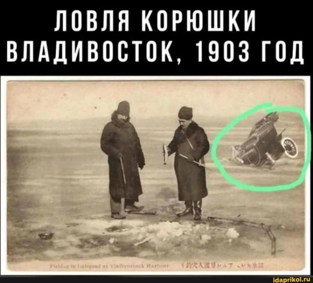 Давайте не будем мешать, а просто понаблюдаем за ними