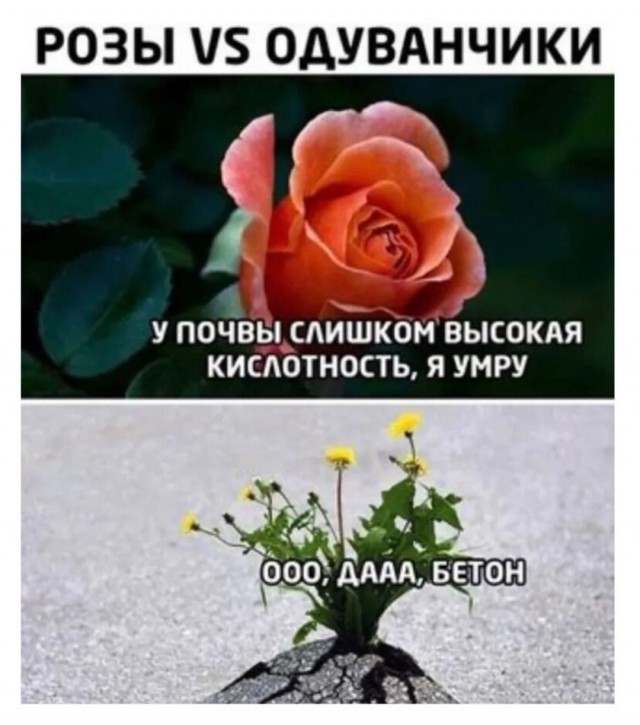 Так себе картинки 23.03.25