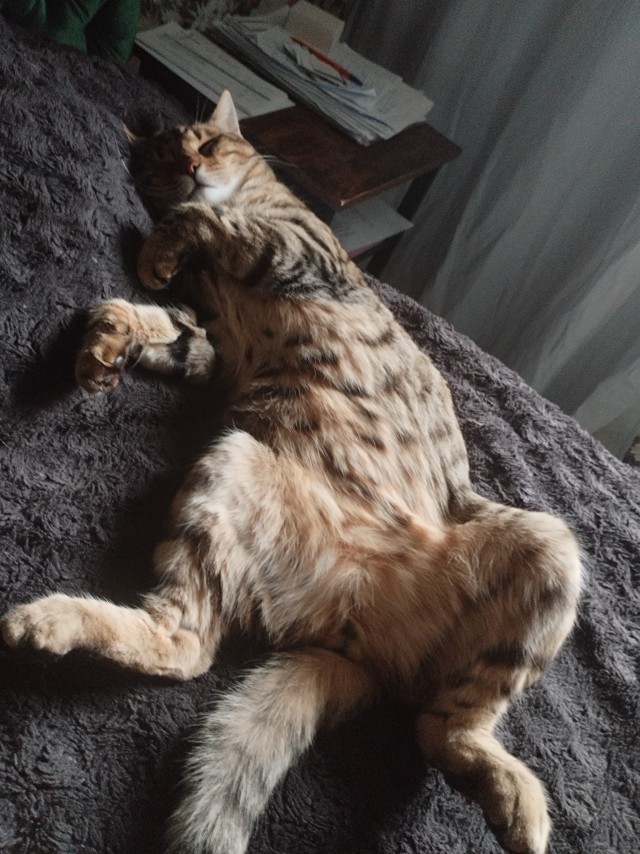 Косоглазый Смайлик
