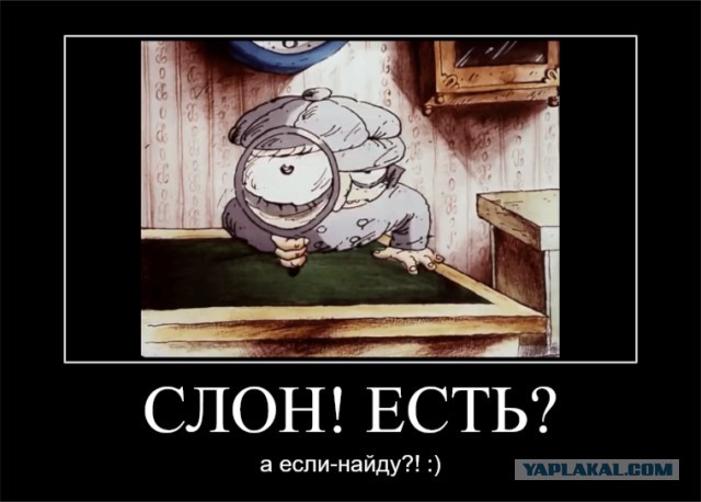 Россиянам запретили содержать дома страусов, скорпионов и крокодилов и слонов