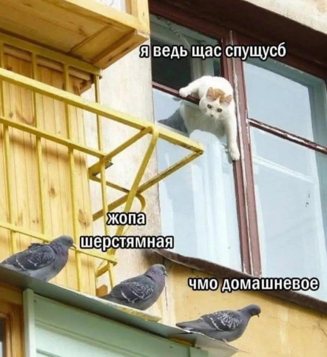 Завалялось тут случайно немного забавных картинок