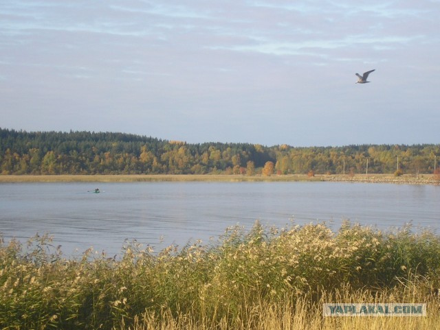 Настоящим жителям С.Пб.