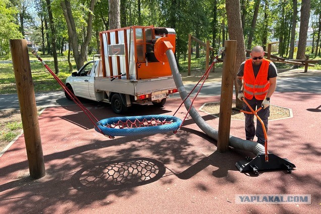 Непьющий дворник