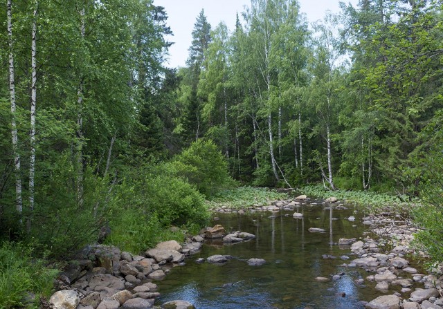 Деревенская Америка - 10