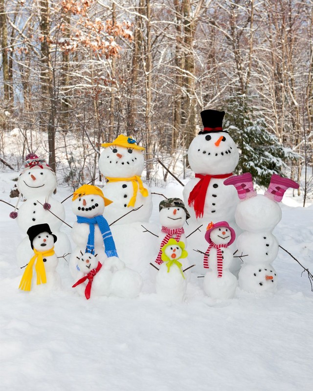 Прикольные и просто красивые картинки 13.02.2026