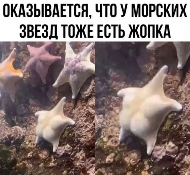 Маленькая пятница 18.02