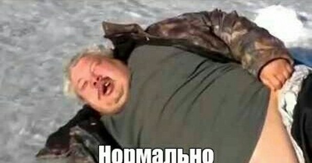 Пёс научился говорить слово «нормально»